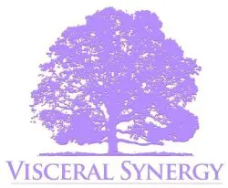 A purple tree with the words visceral synergy underneath it.