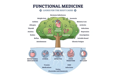 A tree with many different types of medical related words.