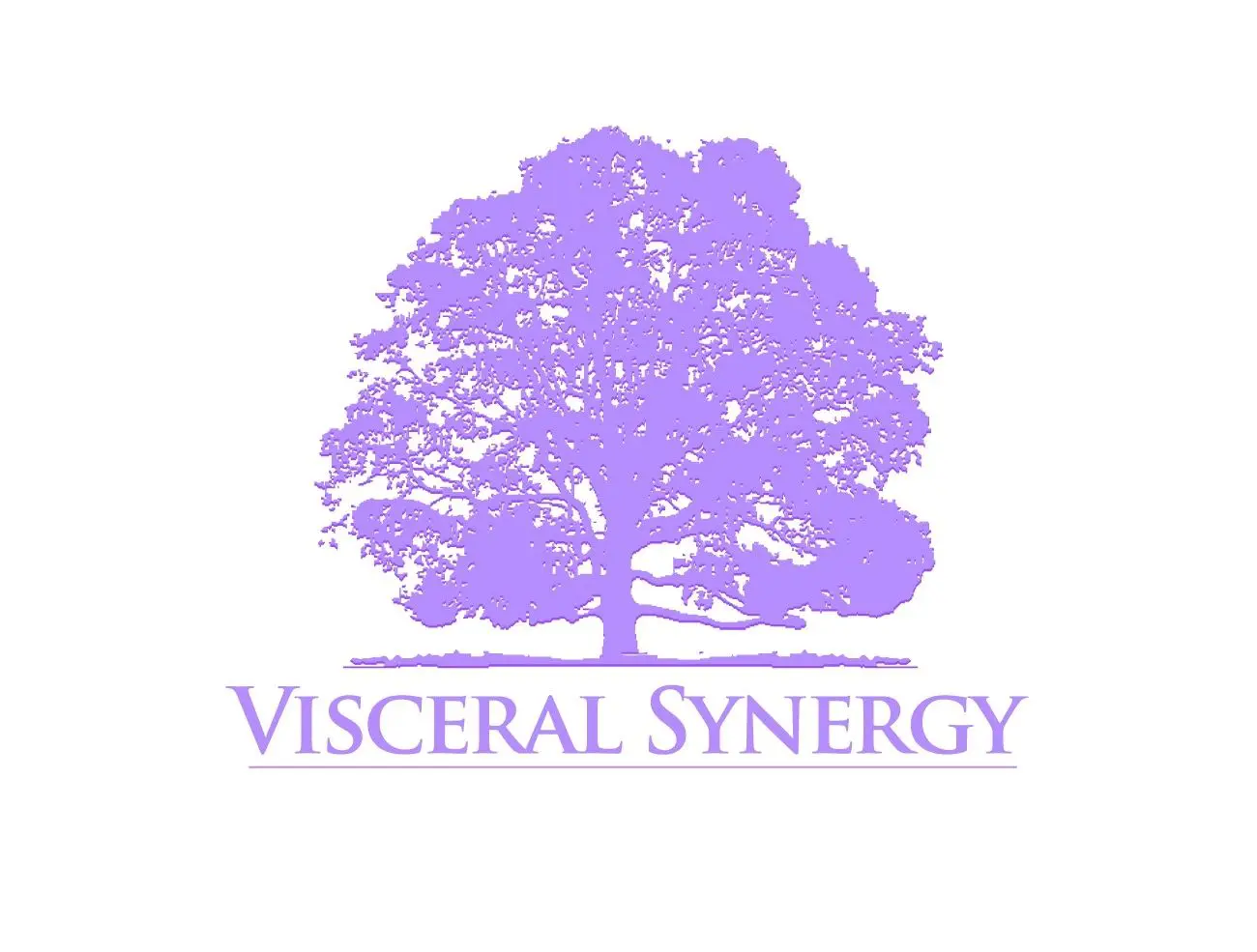 /wp-content/uploads/2023/09/Visceral20Synergy20Logo.jpg